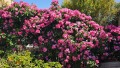 Foto4