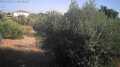 Foto4