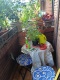 Foto8
