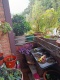 Foto4