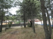 Foto3