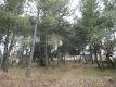 Foto7