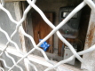 Foto6