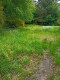 Foto3