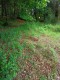 Foto5