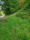 Foto8