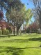 Foto51