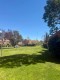 Foto53
