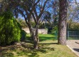 Foto6