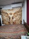 Foto70