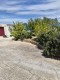Foto37