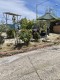 Foto36