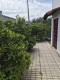 Foto47
