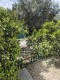 Foto51