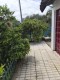 Foto19