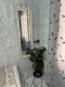 Foto4