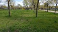 Foto14