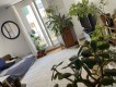 Foto14