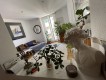 Foto15