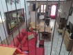 Foto7