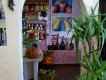 Foto10