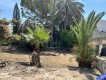 Foto9