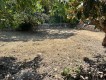 Foto8