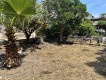 Foto6