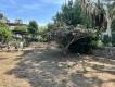 Foto7