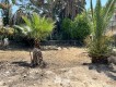 Foto13