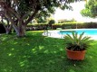 Foto7