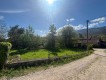 Foto8