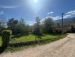 Foto10