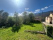 Foto11
