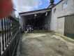 Foto4