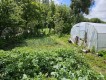 Foto29