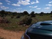 Foto4