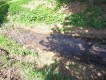 Foto11