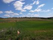 Foto8