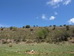 Foto2