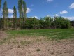 Foto6