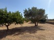 Foto7