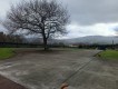 Foto44