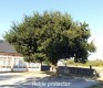 Foto47