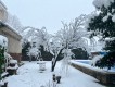 Foto41