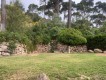 Foto5