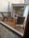 Foto29