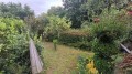 Foto49