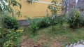 Foto50
