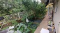 Foto8